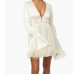 Elegant Cream Dress with Feather Trim